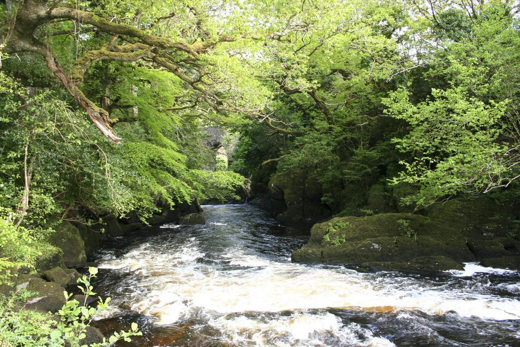 Feirm Cottage Kenmare Exterior foto
